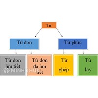 Từ ghép là gì? Phân loại, ví dụ và cách phân biệt từ ghép trong tiếng Việt