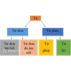 Từ ghép là gì? Phân loại, ví dụ và cách phân biệt từ ghép trong tiếng Việt