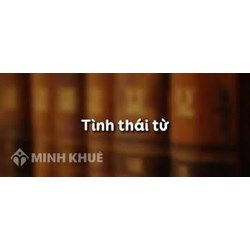 Tình thái từ là gì? Ví dụ về tình thái từ trong câu ngữ văn lớp 8
