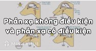 Phân biệt phản xạ có điều kiện và phản xạ không điều kiện chi tiết nhất