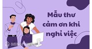 Mẫu thư cảm ơn khi nghỉ việc chân thành, ý nghĩa nhất