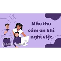 Mẫu thư cảm ơn khi nghỉ việc chân thành, ý nghĩa nhất