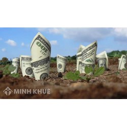 Mẫu đơn xin xác nhận tài sản trên đất mới nhất
