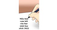 Mẫu bản cam kết thực hiện nội quy của học sinh mới nhất