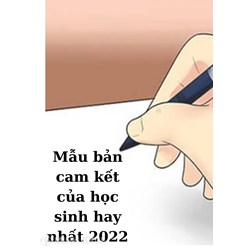 Mẫu bản cam kết thực hiện nội quy của học sinh mới nhất