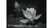 Mẫu thông báo tin buồn thành kính, trang trọng nhất