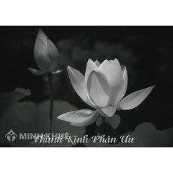 Mẫu thông báo tin buồn thành kính, trang trọng nhất