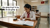 Câu ghép là gì? Ví dụ về câu ghép Ngữ văn lớp 8