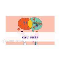 Câu ghép là gì? Ví dụ về câu ghép Ngữ văn lớp 8