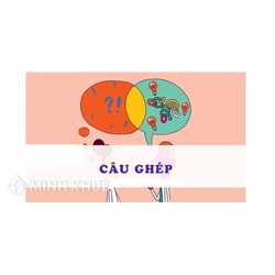 Câu ghép là gì? Ví dụ về câu ghép Ngữ văn lớp 8
