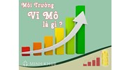 Môi trường vĩ mô là gì? Các yếu tố môi trường vĩ mô ảnh hưởng đến doanh nghiệp