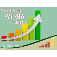Môi trường vĩ mô là gì? Các yếu tố môi trường vĩ mô ảnh hưởng đến doanh nghiệp