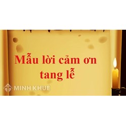 Mẫu lời cảm ơn đám hiếu, cảm tạ đám tang chân thành nhất 2026