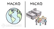 Vĩ mô là gì? Vi mô là gì? Phân biệt giữa vĩ mô và vi mô