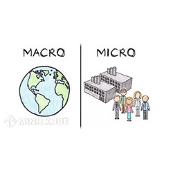 Vĩ mô là gì? Vi mô là gì? Phân biệt giữa vĩ mô và vi mô