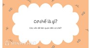 Cơ chế là gì? Các vấn đề liên quan đến cơ chế?