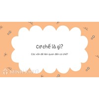 Cơ chế là gì? Các vấn đề liên quan đến cơ chế?