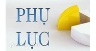 Mẫu phụ lục hợp đồng thay đổi tên công ty mới nhất