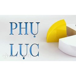 Mẫu phụ lục hợp đồng thay đổi tên công ty mới nhất