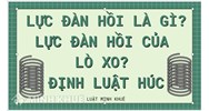 Lực đàn hồi là gì? Lực đàn hồi của lò xo? Định luật Húc?