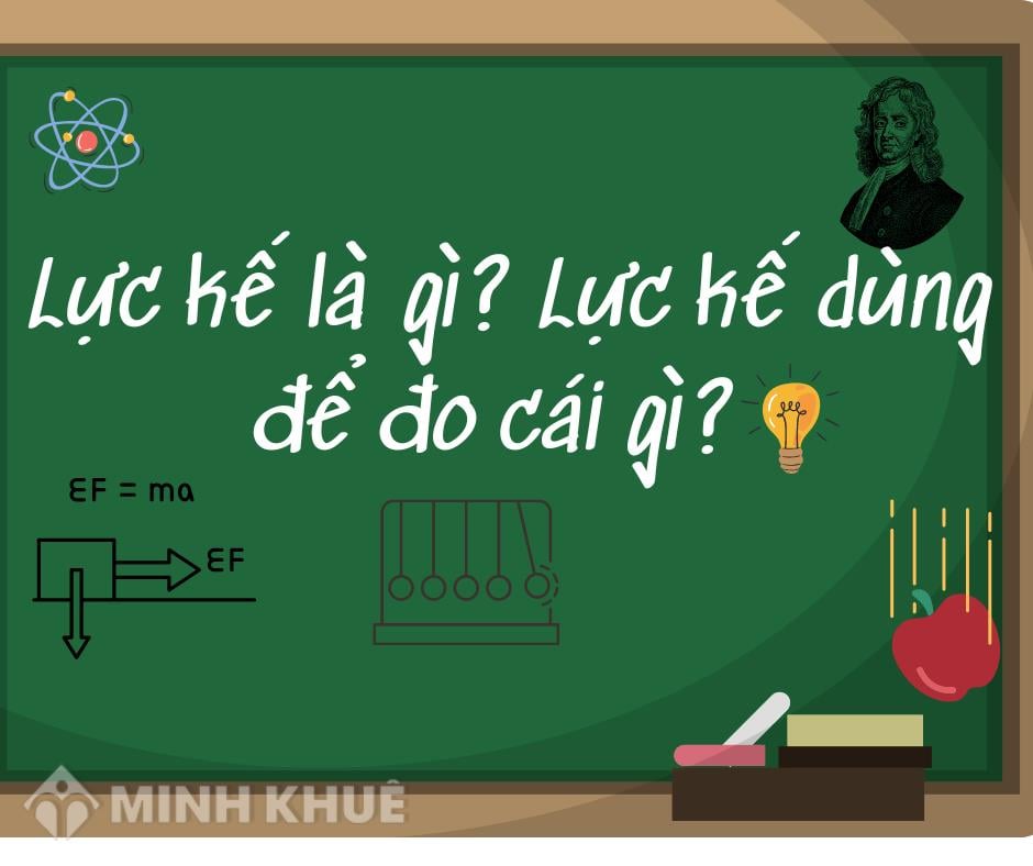 Các thương hiệu nổi tiếng về dụng cụ đo trọng lực là gì?
