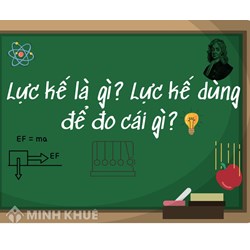 Lực kế là gì? Lực kế được dùng để đo cái gì?
