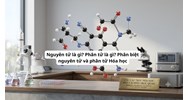 Nguyên tử là gì? Phân tử là gì? Phân biệt nguyên tử và phân tử Hóa học lớp 8