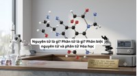Nguyên tử là gì? Phân tử là gì? Phân biệt nguyên tử và phân tử Hóa học lớp 8
