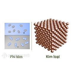 Đơn chất là gì? Hợp chất là gì? Cho ví dụ về đơn chất và hợp chất Hóa học lớp 8