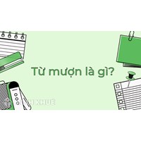 Từ mượn là gì? Ví dụ và bài tập về từ mượn Ngữ văn lớp 6