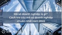 Mã số doanh nghiệp là gì? Cách tra cứu mã số doanh nghiệp Online