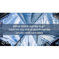 Mã số doanh nghiệp là gì? Cách tra cứu mã số doanh nghiệp Online