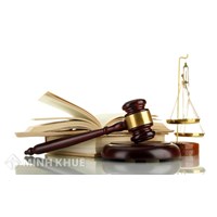 Văn bản dưới luật là gì? Các loại văn bản dưới luật