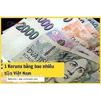 1 Koruna bằng bao nhiêu tiền Việt Nam? Đổi tiền Séc ở đâu?
