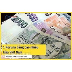 1 Koruna bằng bao nhiêu tiền Việt Nam? Đổi tiền Séc ở đâu?