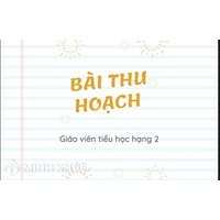 Bài thu hoạch giáo viên tiểu học hạng 2 mới nhất
