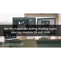 Bài thu hoạch bồi dưỡng thường xuyên tiểu học module 20 mới nhất