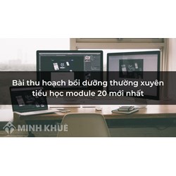 Bài thu hoạch bồi dưỡng thường xuyên tiểu học module 20 mới nhất