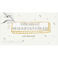 Từ đồng nghĩa là gì? Phân loại và lấy ví dụ về từ đồng nghĩa?
