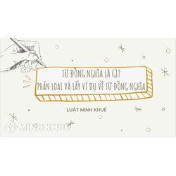 Từ đồng nghĩa là gì? Phân loại và lấy ví dụ về từ đồng nghĩa?