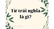 Từ trái nghĩa là gì? Các loại từ trái nghĩa? Ví dụ về từ trái nghĩa?