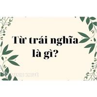 Từ trái nghĩa là gì? Các loại từ trái nghĩa? Ví dụ về từ trái nghĩa?