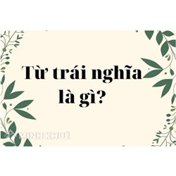 Từ trái nghĩa là gì? Các loại từ trái nghĩa? Ví dụ về từ trái nghĩa?