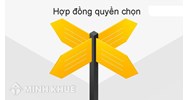 Hợp đồng quyền chọn là gì? Đặc điểm, các loại hợp đồng quyền chọn