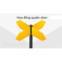 Hợp đồng quyền chọn là gì? Đặc điểm, các loại hợp đồng quyền chọn