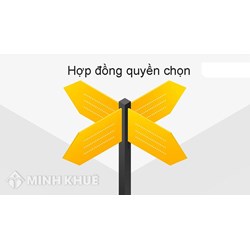 Hợp đồng quyền chọn là gì? Đặc điểm, các loại hợp đồng quyền chọn