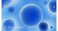 Tế bào là gì? Cấu tạo và chức năng của tế bào Sinh học lớp 6