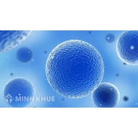 Tế bào là gì? Cấu tạo và chức năng của tế bào Sinh học lớp 6