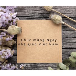 Mẫu thư gửi thầy cô giáo nhân ngày Nhà giáo Việt Nam 20/11 hay và ý nghĩa nhất