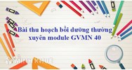Bài thu hoạch bồi dưỡng thường xuyên tiểu học module 40 mới